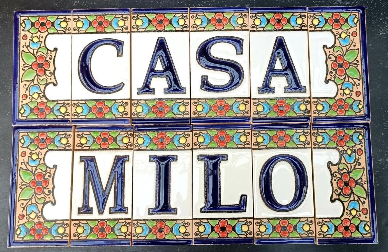 Apartament Casa Milo Playa Los Locos تورّيفيِخا المظهر الخارجي الصورة