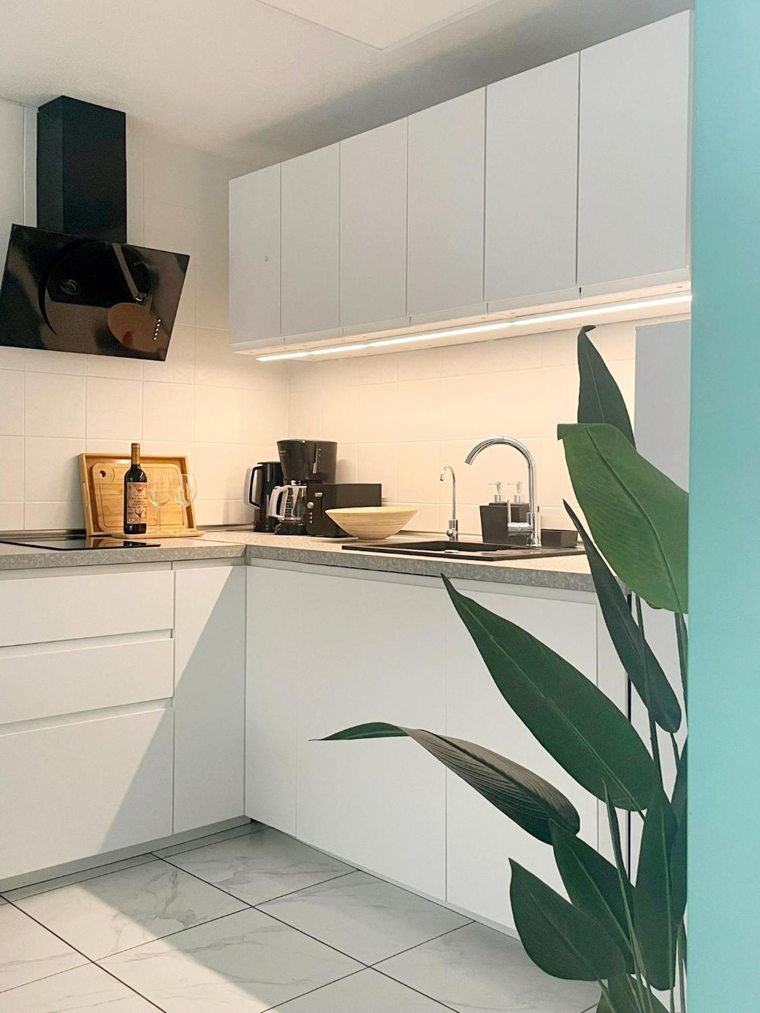 Apartament Casa Milo Playa Los Locos تورّيفيِخا المظهر الخارجي الصورة